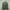 Stone Island Casual Sweater Pria Green