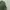 Stone Island Casual Sweater Pria green photo 4