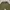 Jemut Super baggy ballon cargo pants photo 9
