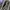 FUBU Streetwear Biker Track jacket Pria blue black photo 7