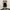 Fluke Baggy jorts black photo 2