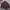 Vintage NIKE Tracktop Jacket 00s Y2k photo 2