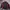 Vintage NIKE Tracktop Jacket 00s Y2k photo 1
