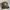 Muygrande Realtree Hat By Pacific Cap