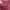 Sling bag nylon Everlast Warna maroon photo 4
