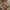 MisterJawerlly photo 4