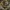 MisterJawerlly photo 1