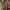 MisterJawerlly photo 3