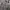 SUGARCANE TOYO ENTERPRISE SIZE L photo 6