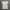 🤍Ingni T-Shirt🤍 photo 6