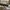 LV Metis 2022 photo 7