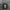 Cn guess photo 3