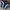 Nike Vintage Oval photo 5