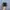 Nike Air Max Plus Tn Black photo 4