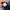Nike Air Max Plus Tn Black photo 6