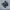 Nike Air Max Plus Tn Black photo 1