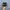 Nike Air Max Plus Tn Particle Gray Vapour photo 4