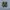 Nike Air Max Plus Tn Particle Gray Vapour photo 5