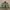 Jambangee Avant Garde Casual Bomber jacket Pria green photo 3