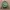 Jambangee Avant Garde Casual Bomber jacket Pria green photo 2
