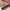 Converse low photo 6