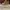 Timberland Vintage Streetwear Boots Pria orange photo 3