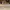Timberland Vintage Streetwear Boots Pria Orange