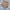 Tracktop Knit Burberry London Bronze Cableknit Double Fullzi photo 8
