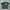 Kaos Jean Michel Basquiat