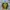 Marni Avant Garde Sportswear Track jacket Pria multicolor photo 5