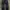 JEANS UNIQLO S002 INDIGO REGULAR STRAIGHT SELVEDGE ACCENT  photo 2