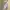 Mannequin plastic top photo 1