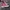 Sepatu Vans Sk8 HI Marun photo 1