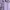 Semora The Label Purple Top