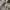 Vintage Parka Pria gray photo 5