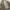 Vintage Parka Pria gray photo 6