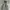 Kissmark Snowboarding Camouflage Jacket