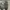 Nike Air Jordan Retro 1 Low Iron Grey photo 5