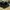 vans sk8 high full black photo 3