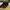 vans sk8 high full black photo 5