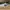 nike blazer low photo 1