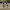 nike blazer low photo 2