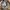 The North Face Terra Lumbar 1L Original photo 6