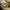 The North Face Terra Lumbar 1L Original photo 7