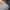Carhartt carpenter pant relaxed fit 5 pocket canvas  photo 8