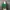 Authentic Sandro Green Women Blouse