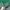 Authentic Sandro Green Women Blouse photo 5