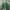 Authentic Sandro Green Women Blouse