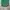Authentic Sandro Green Women Blouse photo 10