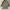 Vintage Parka Pria gray photo 1